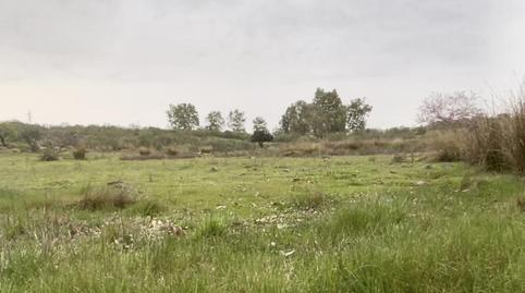 Foto 3 de Terreno en venta en Calle Legión X, 24, Centro, Badajoz