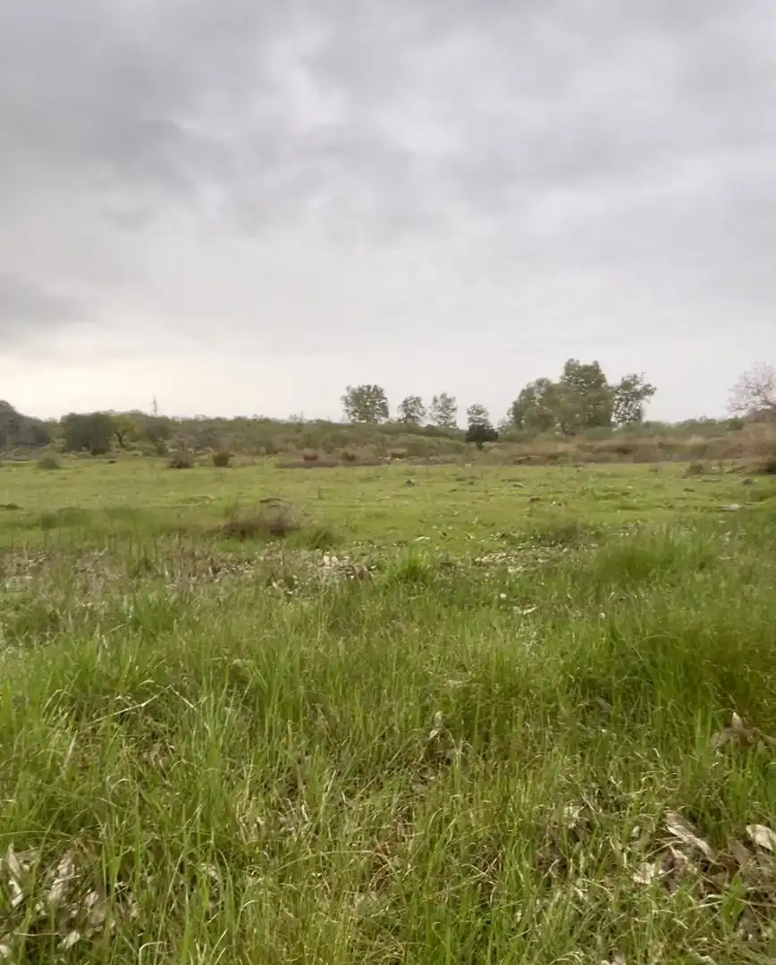 Land for sale in Mérida