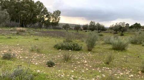 Foto 5 de Terreno en venta en Calle Legión X, 24, Centro, Badajoz