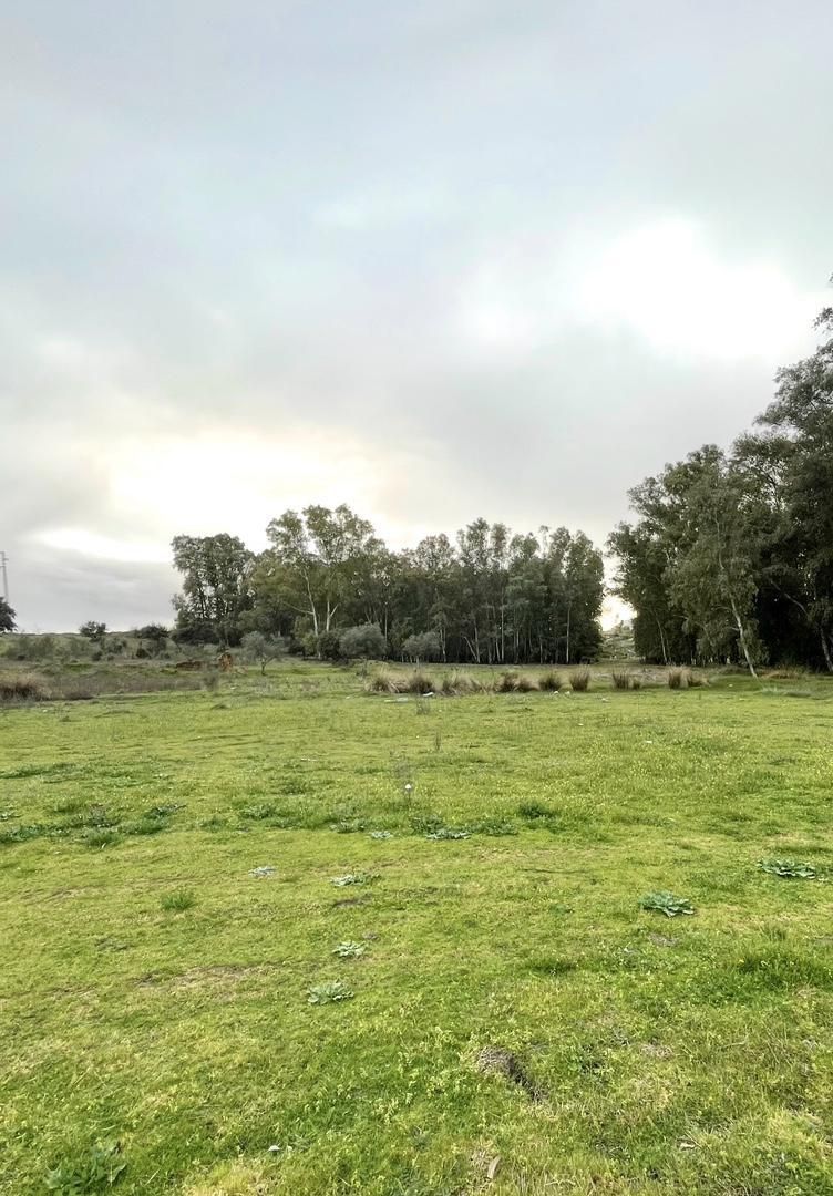Land for sale in Mérida