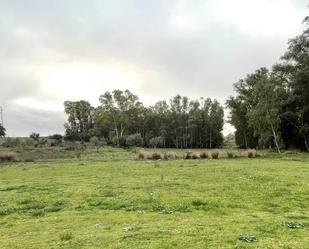 Land for sale in Mérida