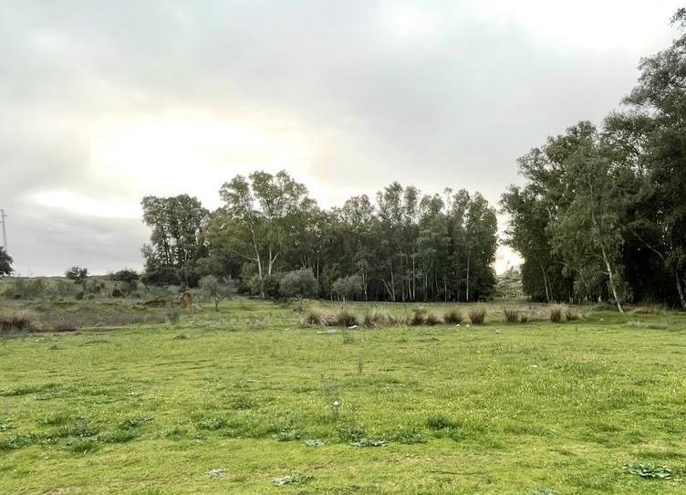 Foto 1 de Terreno en venta en Calle Legión X, 24, Centro, Badajoz