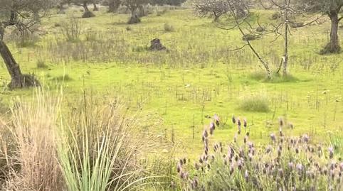 Foto 4 de Terreno en venta en Calle Legión X, 24, Centro, Badajoz