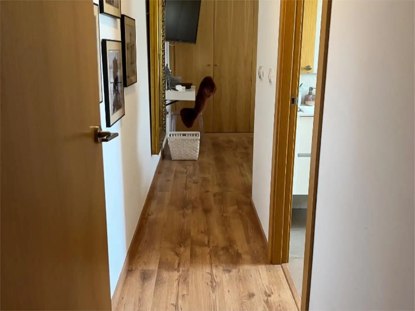 Flat for sale in Calle Diputado Ignacio Gallego, 14, Poniente-Norte - Miralbaida - Parque Azahara Flat for sale in Córdoba with Air Conditioner, Heating and Parquet flooring
