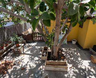 Jardí de Estudi de lloguer en Arona amb Jardí privat i Moblat