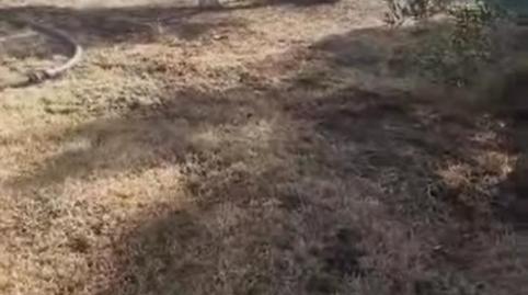 Photo 2 of House or chalet for sale in Avenida María Auxiliadora, 40, Torre Cruz - Los Molinos, Sevilla