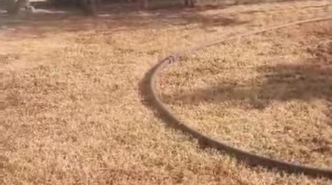 Photo 3 of House or chalet for sale in Avenida María Auxiliadora, 40, Torre Cruz - Los Molinos, Sevilla