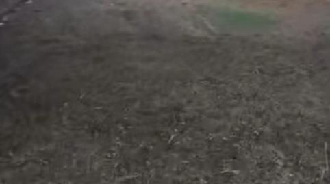 Photo 4 of House or chalet for sale in Avenida María Auxiliadora, 40, Torre Cruz - Los Molinos, Sevilla