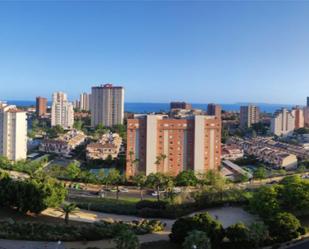Vista exterior de Pis de lloguer en Alicante / Alacant amb Jardí privat, Piscina i Moblat