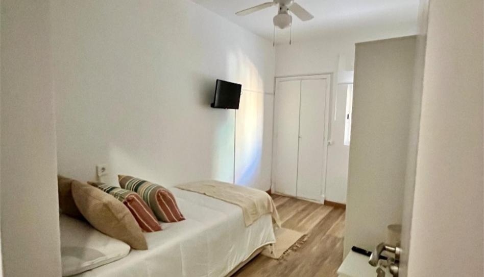 Flat to share in Carrer D'algol, 15, Ciudad de Asís, Alicante - image 1 Photo 1 of Flat to share in Carrer D'algol, 15, Ciudad de Asís, Alicante