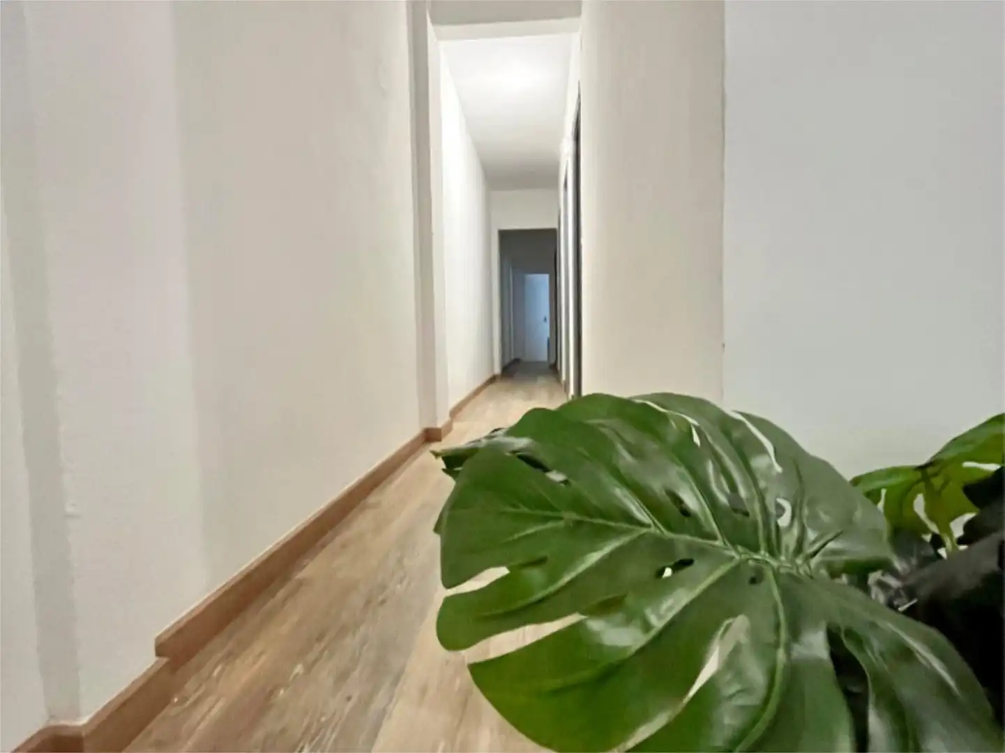 Room in Carrer d'Algol, 15, Ciudad de Asís
