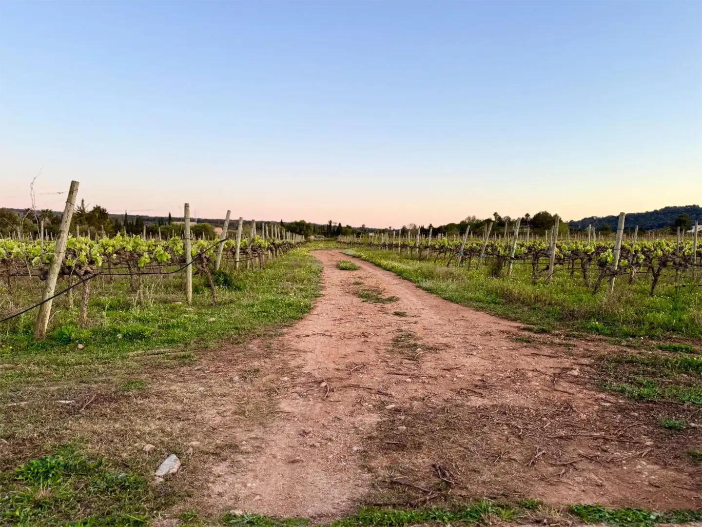Exterior view of Constructible Land for sale in Santa María del Camí