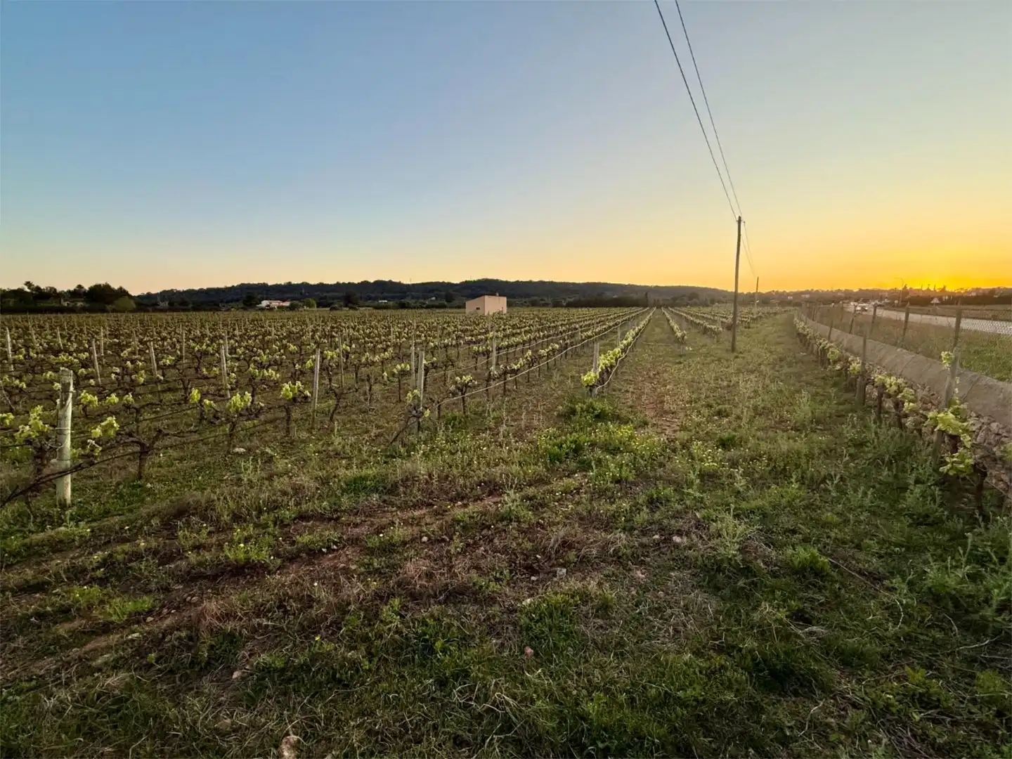 Constructible Land for sale in Santa María del Camí