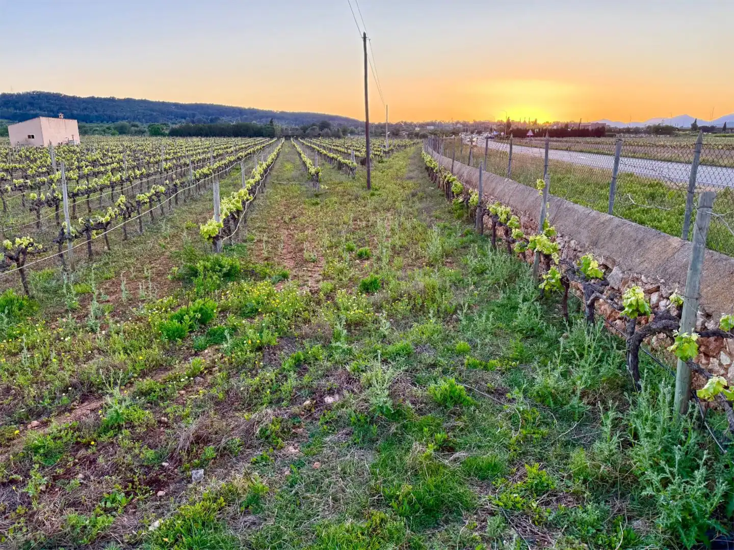 Constructible Land for sale in Santa María del Camí