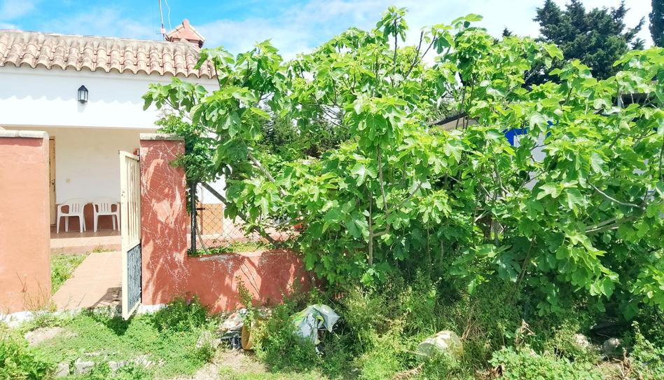 Photo 1 of House or chalet for sale in Pago Zahora, 233, Zahora, Cádiz