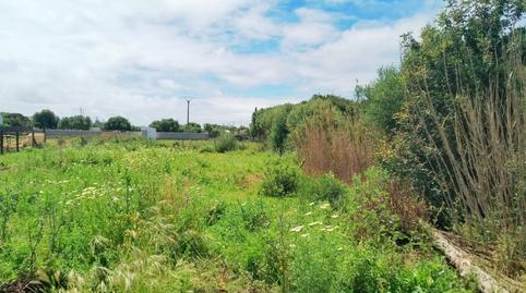 Photo 2 of House or chalet for sale in Pago Zahora, 233, Zahora, Cádiz