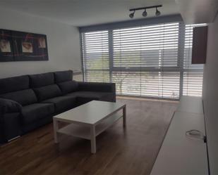 Living room of Flat to rent in Pontevedra Capital   with Air Conditioner, Heating and Parquet flooring