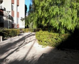 Jardí de Pis de lloguer en  Murcia Capital amb Aire condicionat, Calefacció i Jardí privat