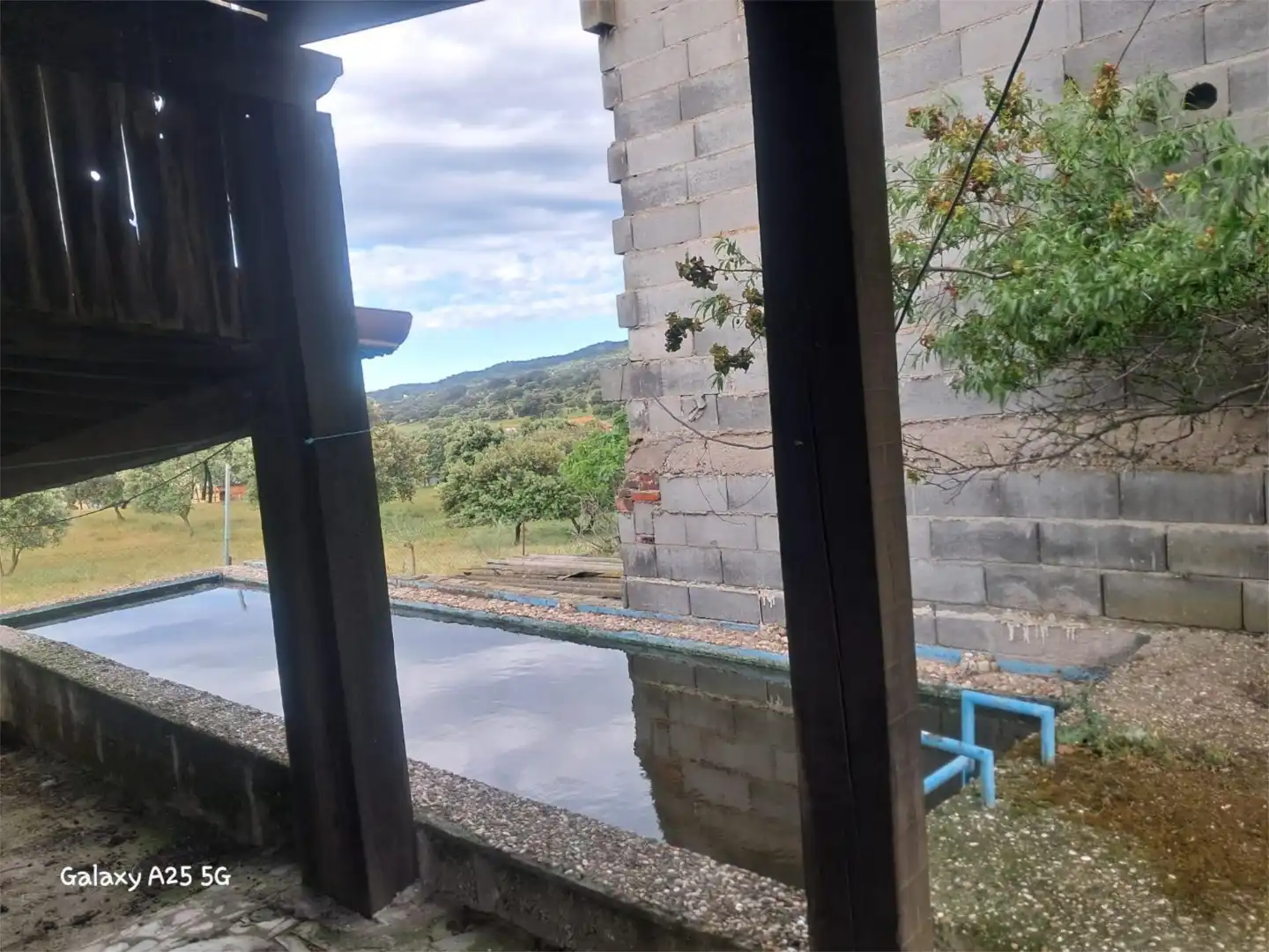 Terreno en venta en CM-4132, 4, Tres Olivos - La Piedad Piscina de Terreno en venta en Talavera de la Reina