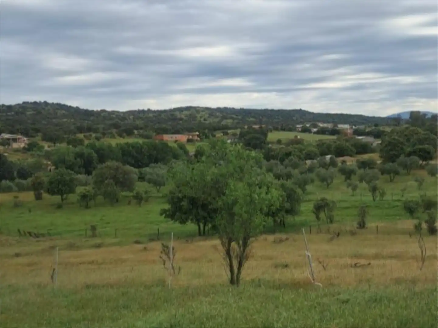 Terreno en venta en CM-4132, 4, Tres Olivos - La Piedad Terreno en venta en Talavera de la Reina