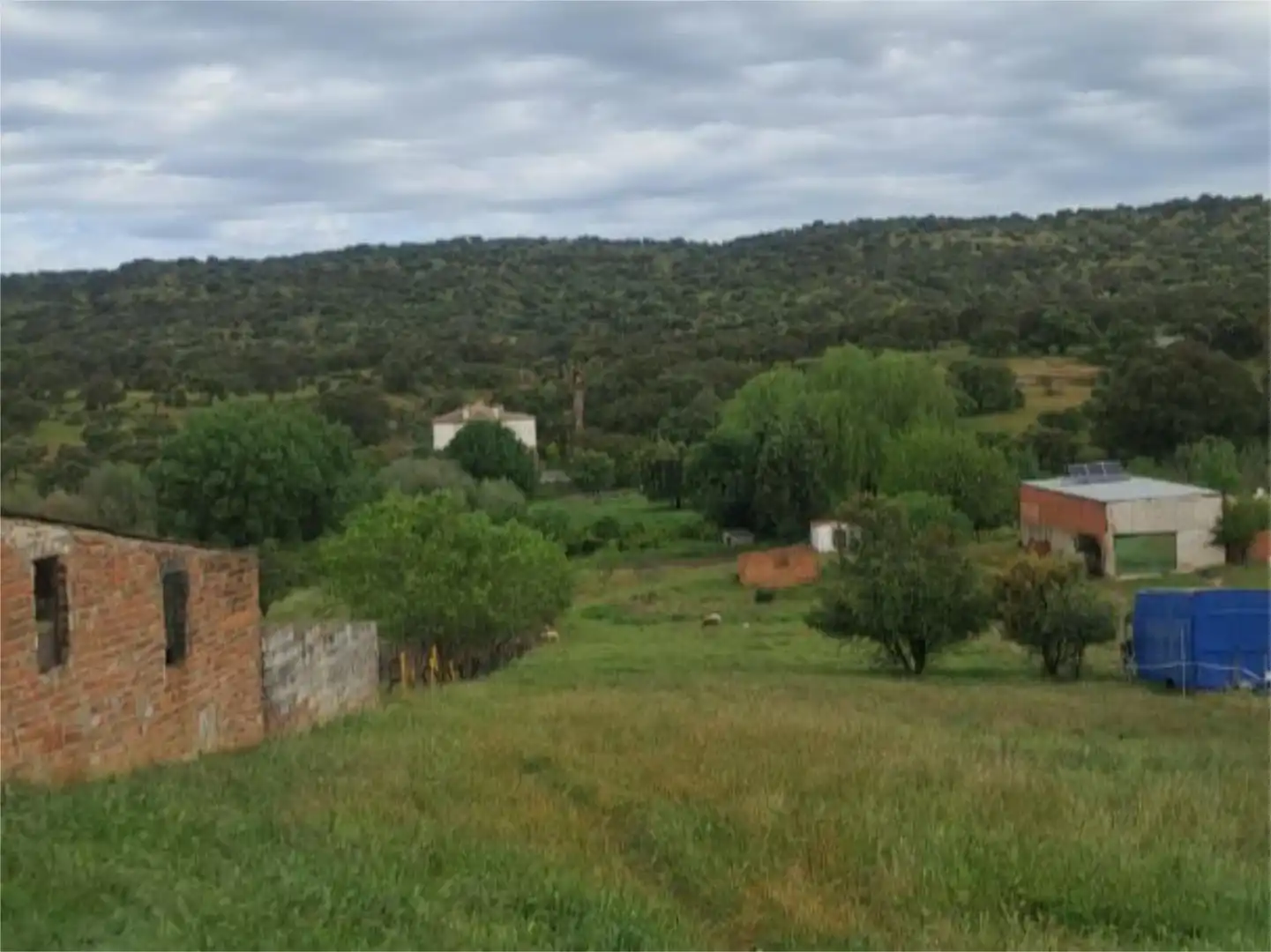 Terreno en venta en CM-4132, 4, Tres Olivos - La Piedad Terreno en venta en Talavera de la Reina