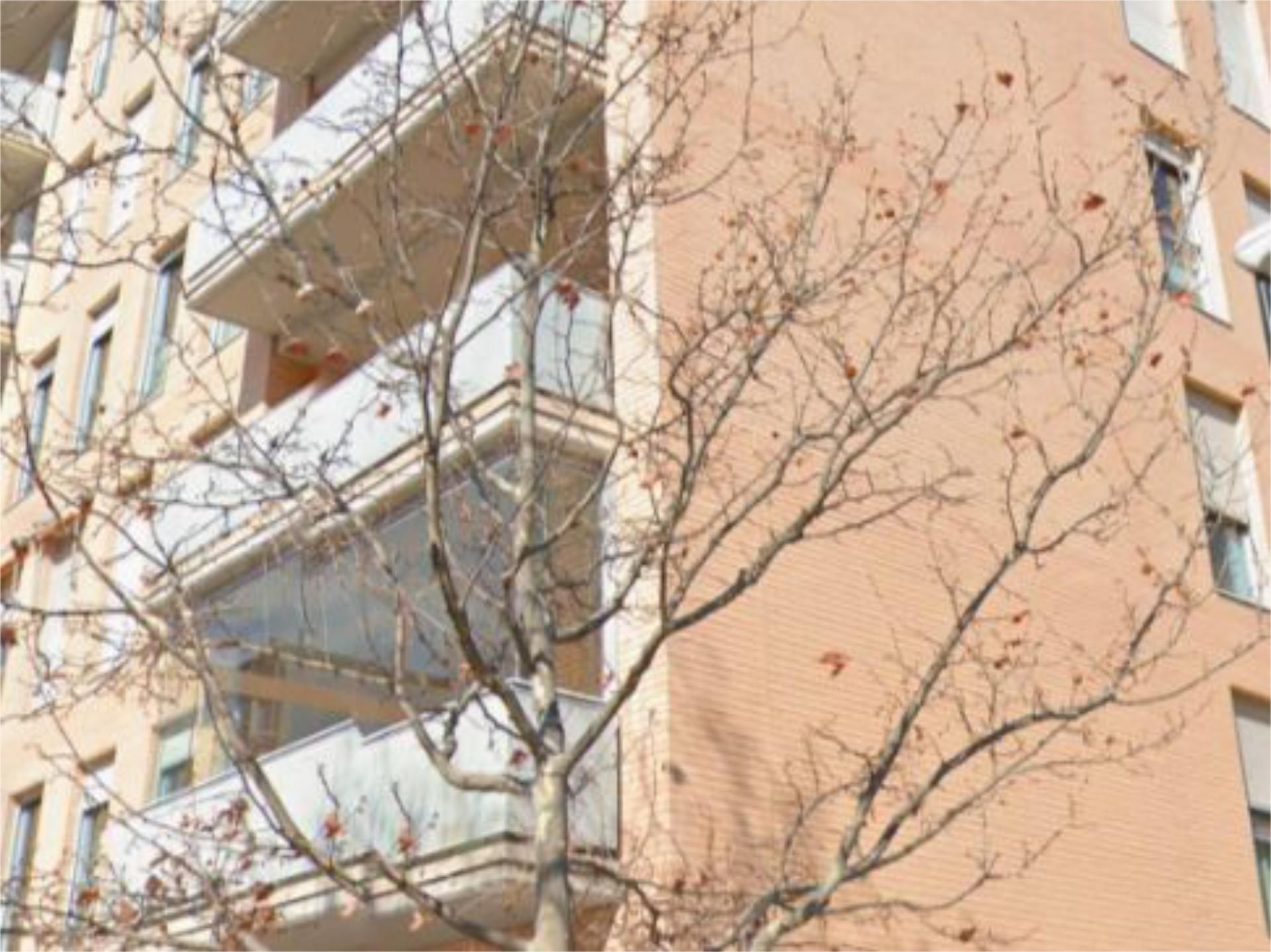 Flat to rent in Calle J. Sebastián Bach, 49, Rosales del Canal