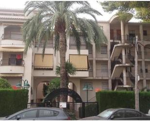 Vista exterior de Apartament de lloguer en Alcalà de Xivert amb Jardí privat, Terrassa i Piscina