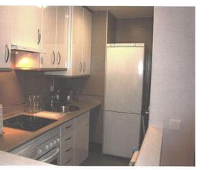 Kitchen of Apartment to rent in  Madrid Capital  with Air Conditioner, Heating and Parquet flooring