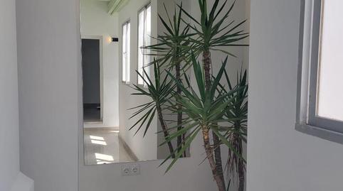 Foto 3 de Piso de alquiler en Calle Soledad, 11, Alameda - Mentidero - Teatro Falla,  Cádiz Capital