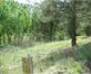 Residential for sale in Mojados