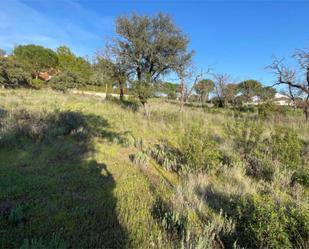 Constructible Land for sale in Las Rozas de Madrid