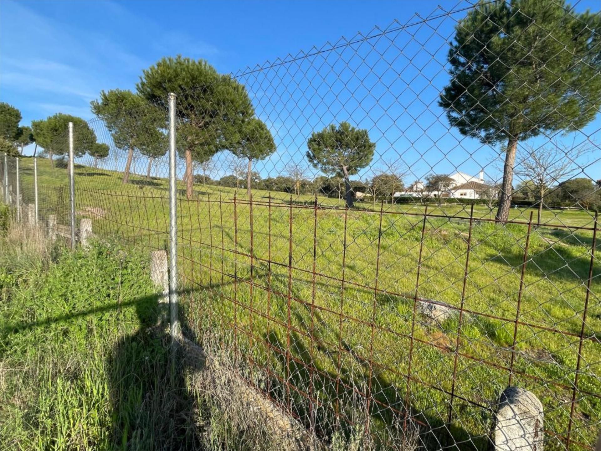 Constructible Land for sale in Las Rozas de Madrid