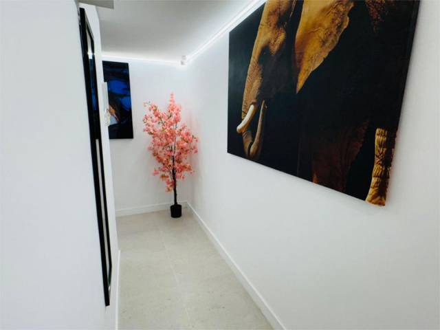 Loft en Alquiler en Calle Francisco Cambo, 6 en Vallobín