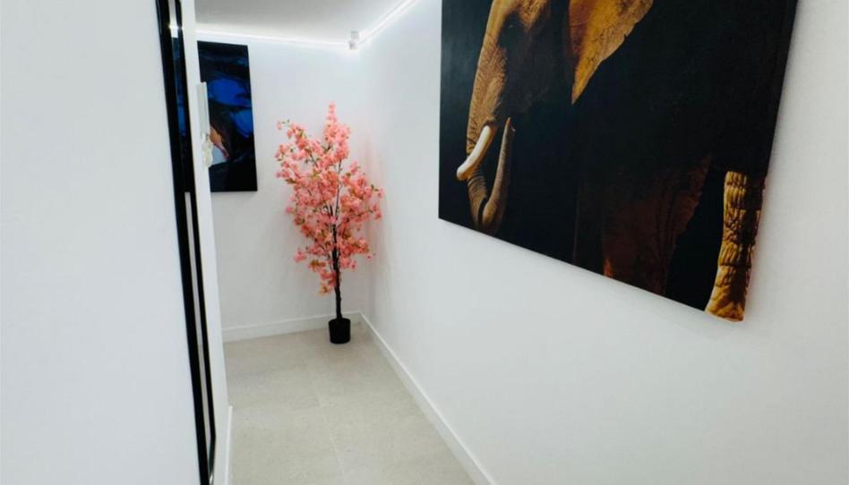 Piso de alquiler en Calle Francisco Cambo, 6, Vallobín, Asturias - imagen 1 Foto 1 de Piso de alquiler en Calle Francisco Cambo, 6, Vallobín, Asturias