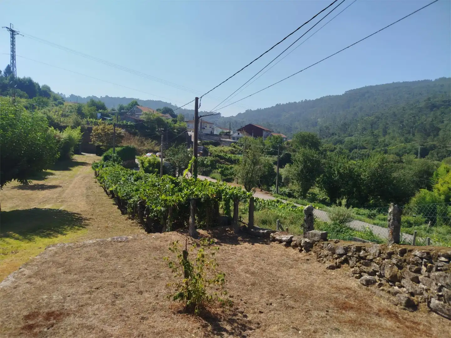 Finca rústica en venda a Rúa Emilia Pardo Bazán, 52, Mondariz-Balneario Finca rústica en venda en Mondariz-Balneario