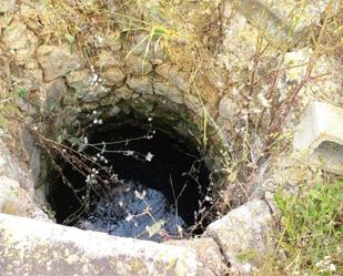 Garden of Non-constructible Land for sale in Llucmajor