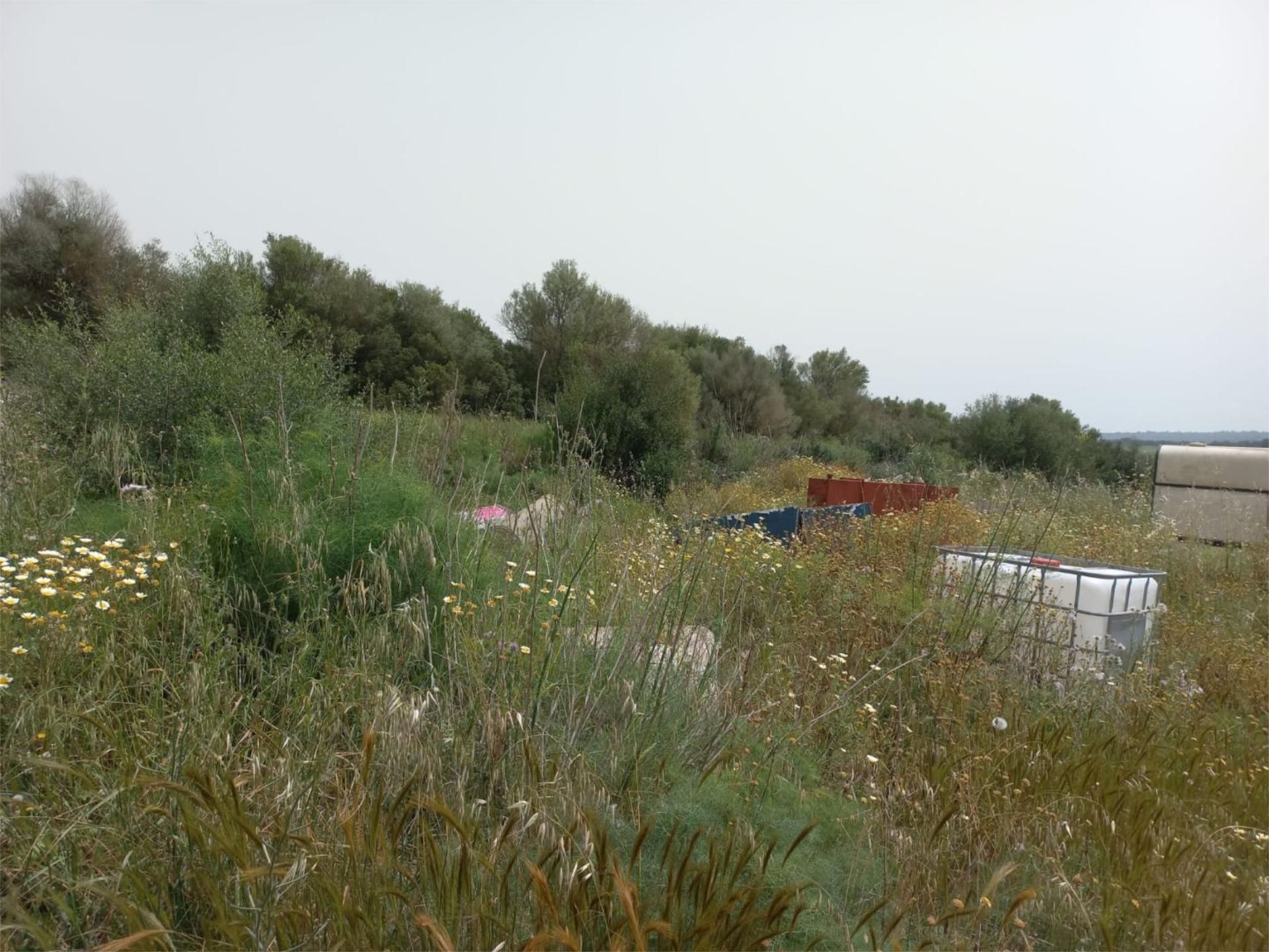 Non-constructible Land for sale in Manacor