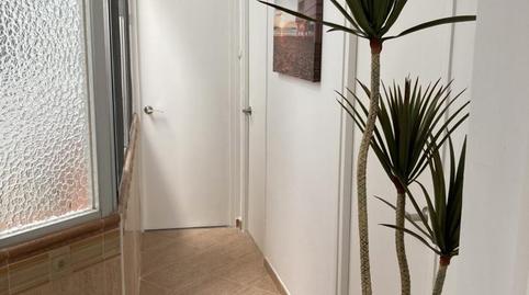 Foto 2 de Pis de lloguer a Calle Virgili, 8c, Alameda - Mentidero - Teatro Falla, Cádiz