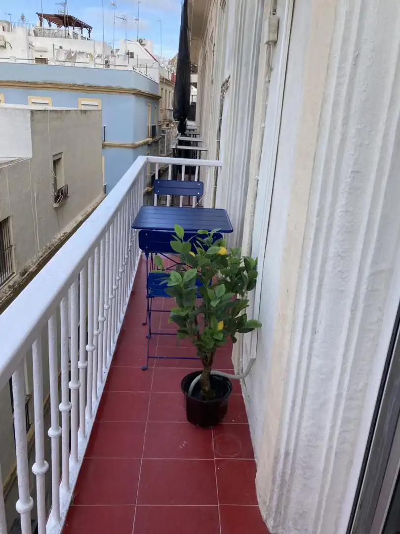 Flat for rent in Calle Virgili, Alameda - Mentidero - Teatro Falla Flat for rent in Calle Virgili, Alameda - Mentidero - Teatro Falla