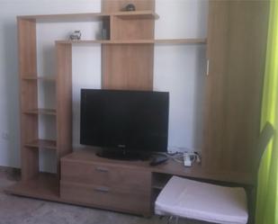 Sala d'estar de Dúplex de lloguer en Ciudad Real Capital amb Aire condicionat