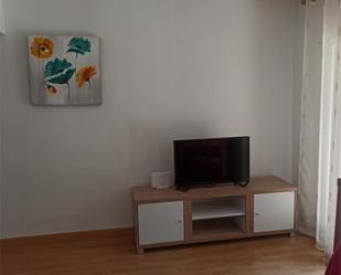 Living room of Flat to rent in  Madrid Capital