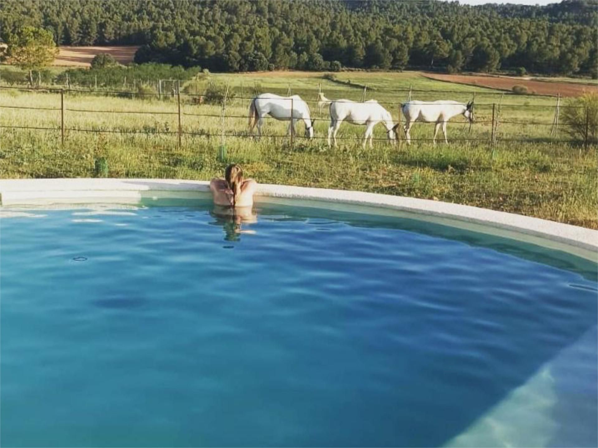 Swimming pool of Non-constructible Land for sale in Liétor