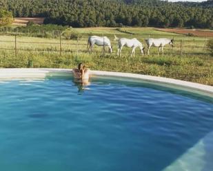Swimming pool of Non-constructible Land for sale in Liétor