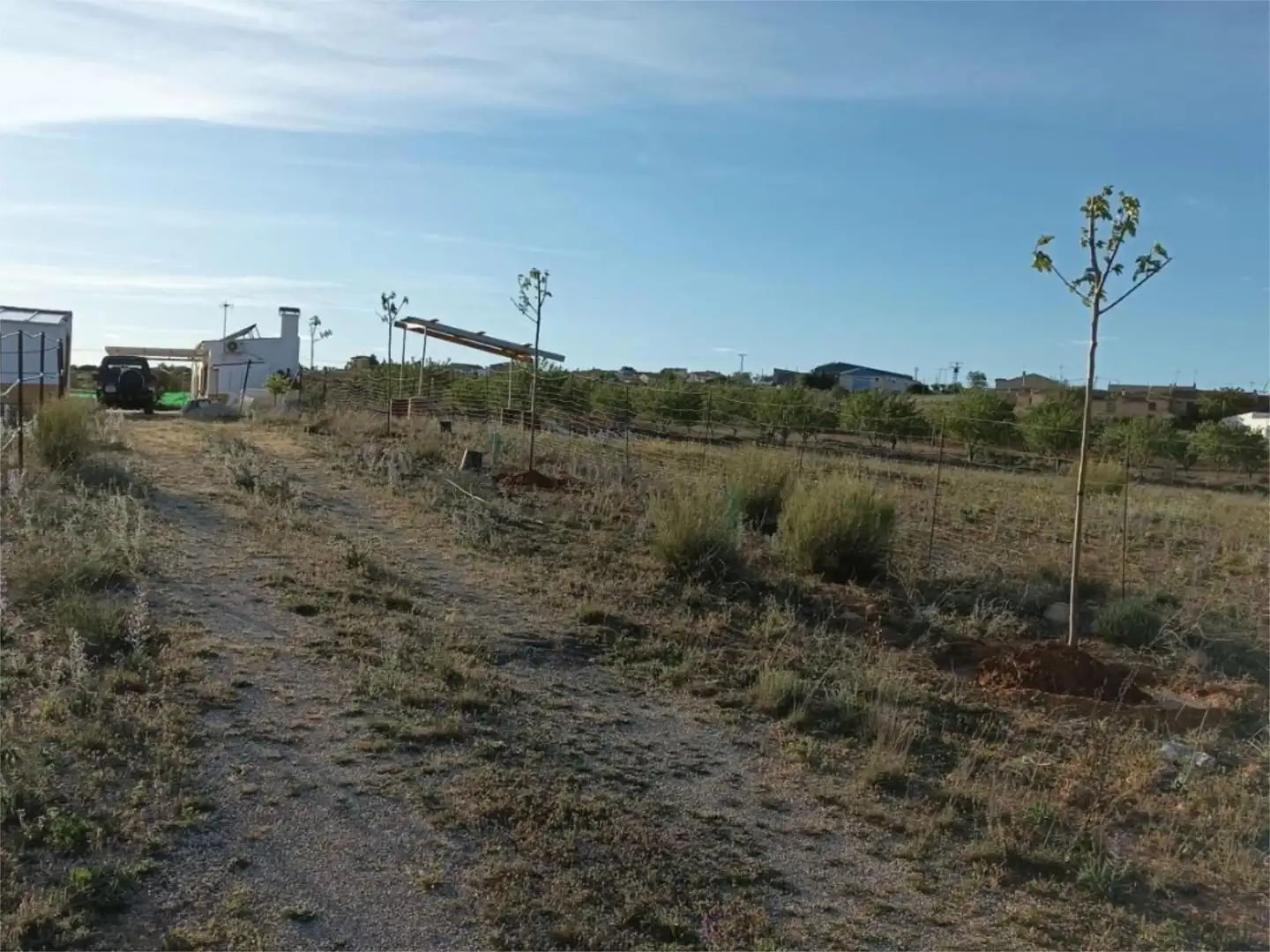 No Urbanizable en venta en Calle Cantarranas, 2, Liétor No Urbanizable en venta en Liétor