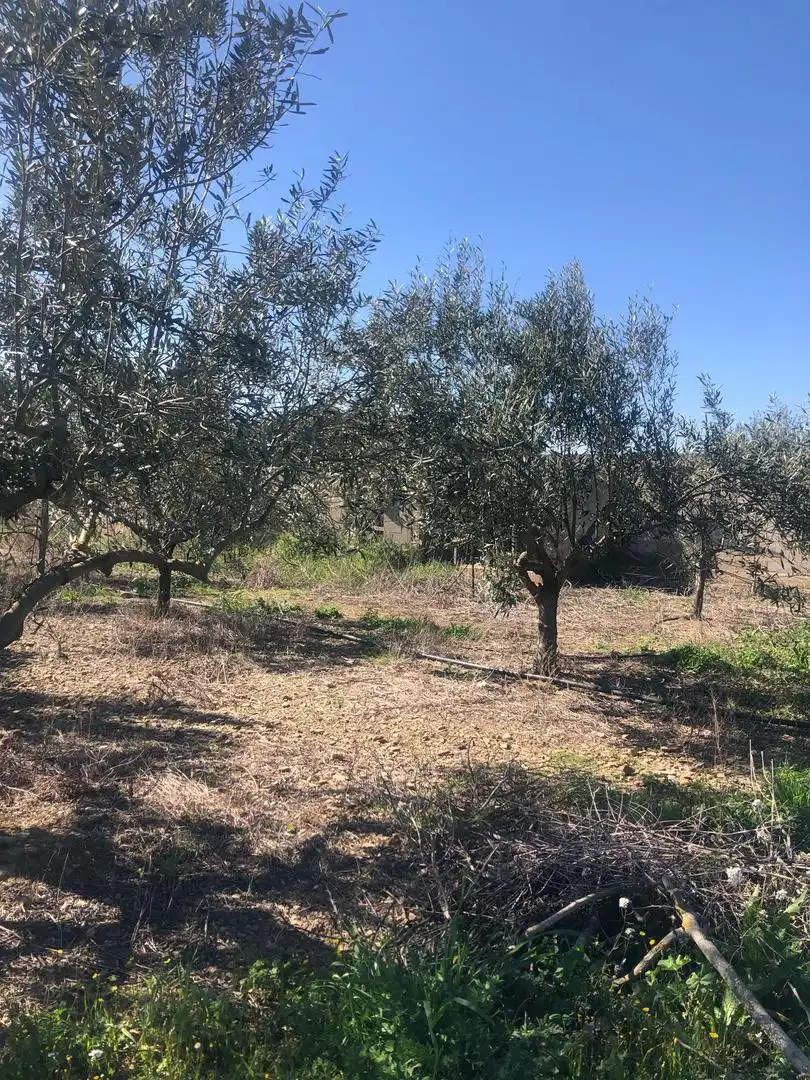 Finca rústica en venta en Olite / Erriberri