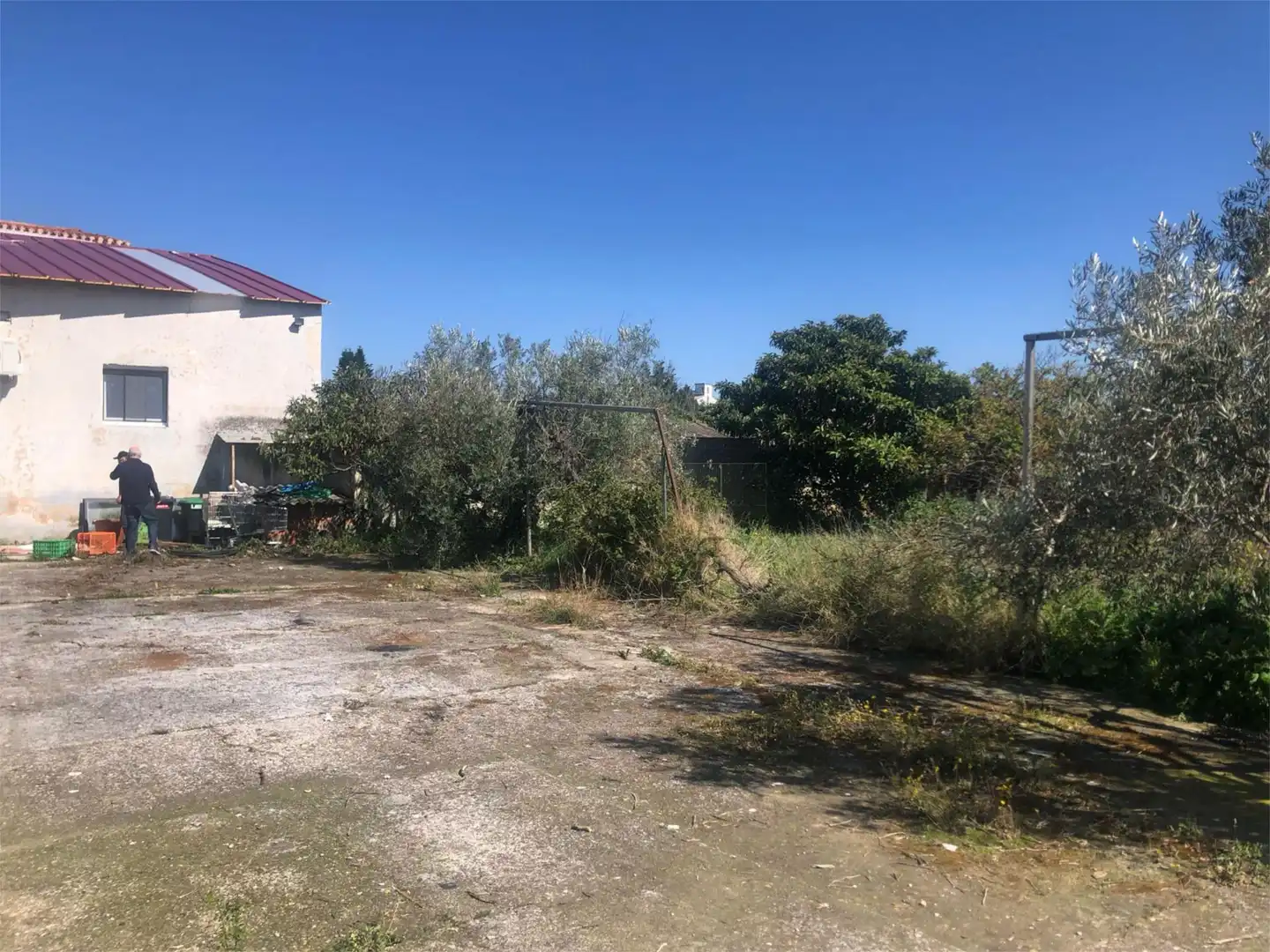 Finca rústica en venta en Olite / Erriberri