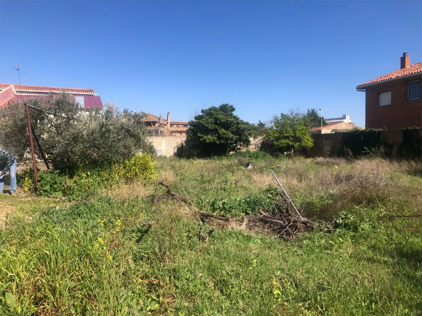 Finca rústica en venta en Olite / Erriberri