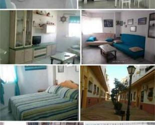 Exterior view of Flat to rent in Zahara de los Atunes  with Furnished and Pets allowed