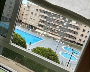 Swimming pool of Flat to share in Las Palmas de Gran Canaria