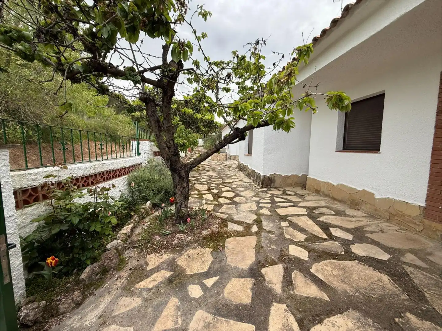 Wohnung zur Miete in Carrer Santa Coloma, 23, Aiguamúrcia Wohnung zur Miete in Carrer Santa Coloma, 23, Aiguamúrcia